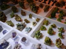 2016-10-28-mnichovska-mineralogicka-burza-06