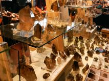 2016-10-28-mnichovska-mineralogicka-burza-10