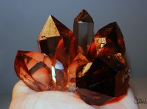 2016-10-28-mnichovska-mineralogicka-burza-13