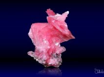2016-10-28-mnichovska-mineralogicka-burza-16