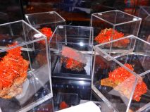 2016-10-28-mnichovska-mineralogicka-burza-18