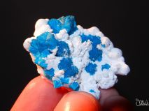 2016-10-28-mnichovska-mineralogicka-burza-26