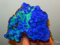 2016-10-28-mnichovska-mineralogicka-burza-32