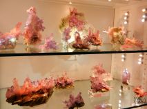 2016-10-28-mnichovska-mineralogicka-burza-33