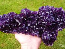 2016-10-28-mnichovska-mineralogicka-burza-36