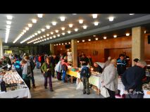 2016-10-08-mineralogicka-burza-nmnm-04