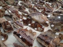 2018-05-01-report-tisnov-09