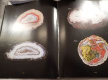 2018-05-01-report-tisnov-25