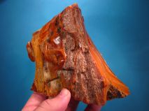 2018-05-01-report-tisnov-32