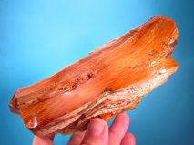 2018-05-01-report-tisnov-33