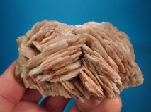 2018-05-01-report-tisnov-34