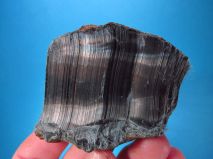 2018-05-01-report-tisnov-35