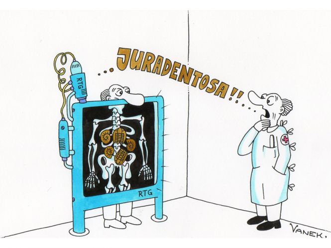 dinopaleontologie-05