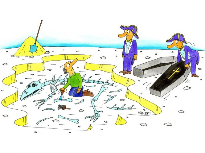 dinopaleontologie-08