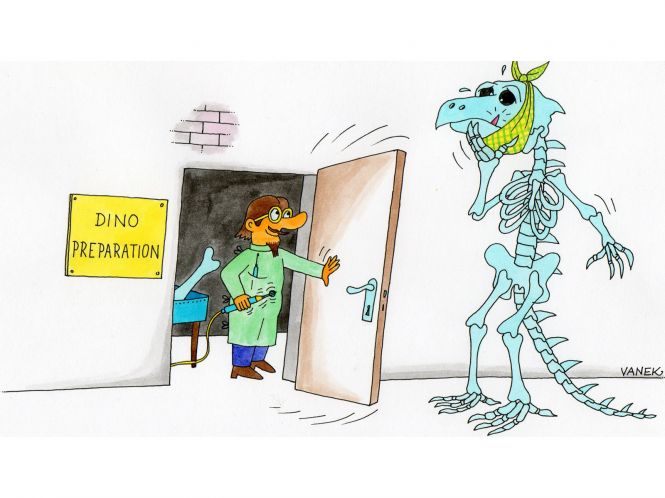 dinopaleontologie-09