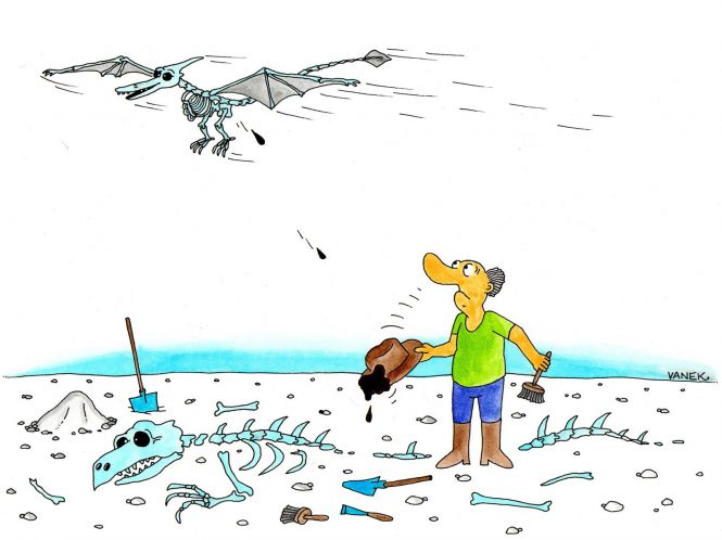 dinopaleontologie-10