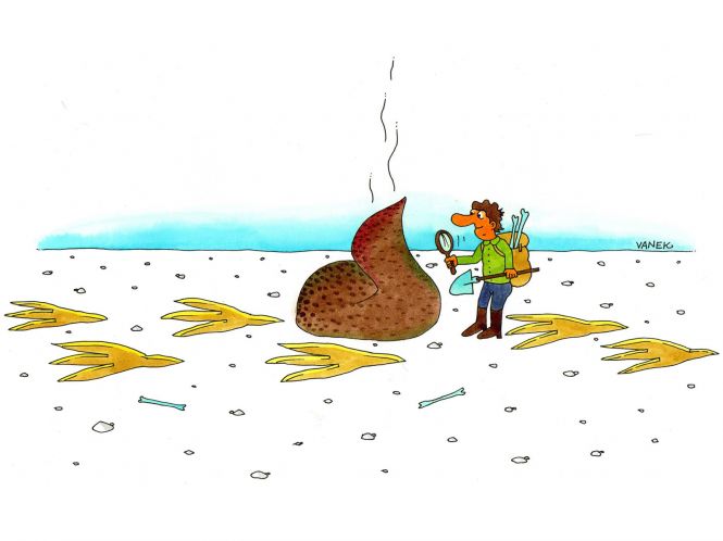 dinopaleontologie-12