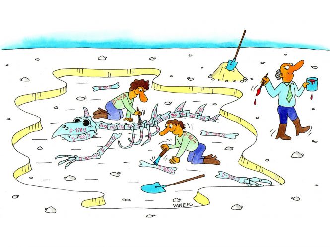 dinopaleontologie-18