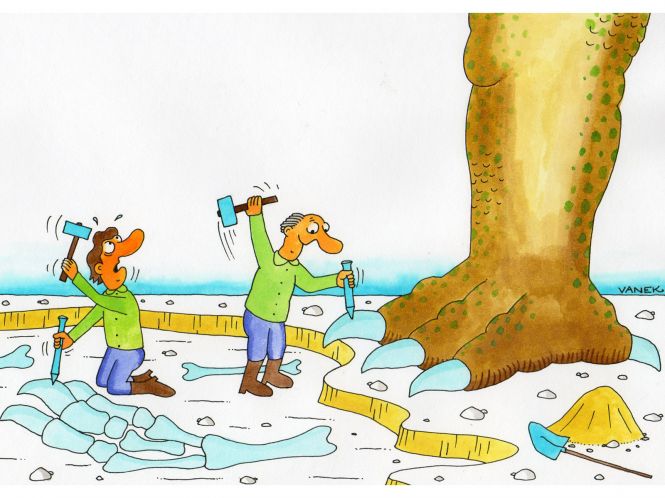 dinopaleontologie-25