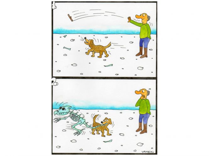 dinopaleontologie-28