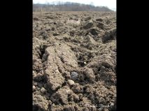 lokality-cechy-lhenice-vltavin-05