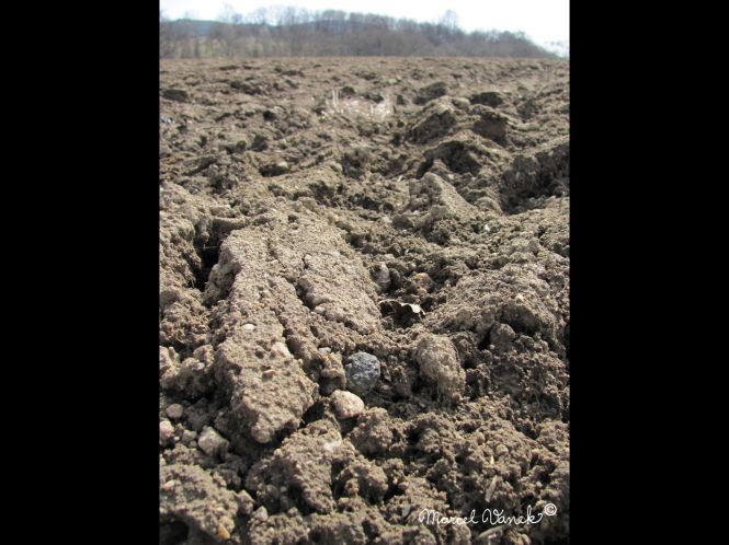 lokality-cechy-lhenice-vltavin-05