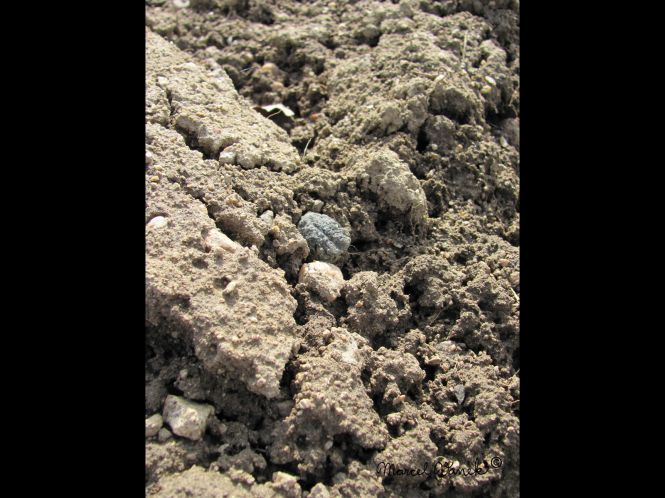 lokality-cechy-lhenice-vltavin-06