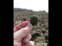 lokality-cechy-lhenice-vltavin-07