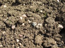 lokality-cechy-lhenice-vltavin-11