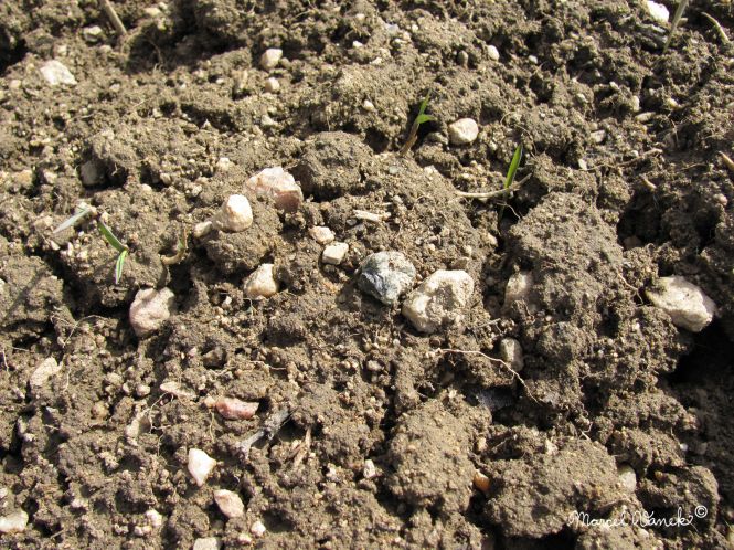 lokality-cechy-lhenice-vltavin-11