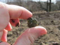 lokality-cechy-lhenice-vltavin-13