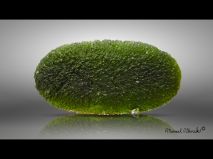 lokality-cechy-lhenice-vltavin-20