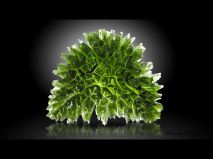 lokality-cechy-lhenice-vltavin-25