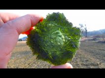 lokality-cechy-lhenice-vltavin-32