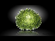 lokality-cechy-lhenice-vltavin-33