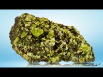 lokality-cechy-smrci-olivin-10
