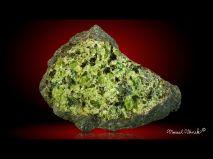 lokality-cechy-smrci-olivin-21