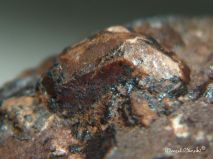 lokality-cechy-vrancice-51