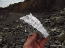 lokality-cechy-zelechy-pektolit-39