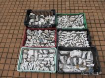 lokality-cechy-zelechy-pektolit-47