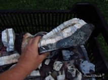 lokality-cechy-zelechy-pektolit-68