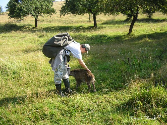 lokality-morava-borovec-01