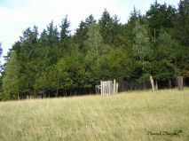 lokality-morava-borovec-02