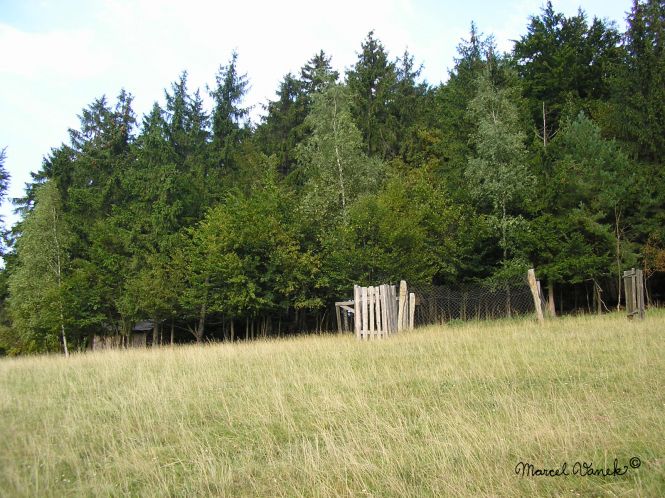 lokality-morava-borovec-02