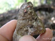 lokality-morava-borovec-07