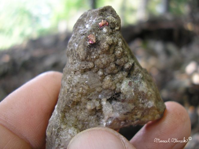 lokality-morava-borovec-07