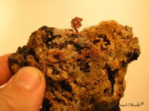 lokality-morava-borovec-09