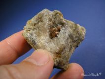 lokality-morava-borovec-10