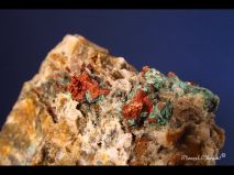 lokality-morava-borovec-11