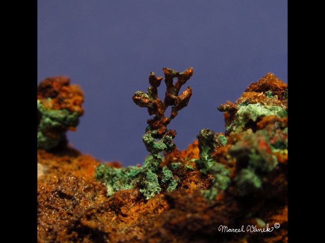 lokality-morava-borovec-12